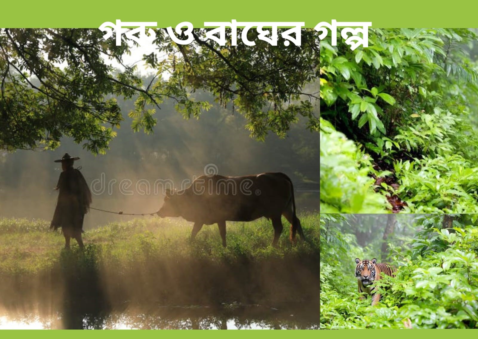 আপনার টাকা কোথায় রাখবেন - 1 Lovely story