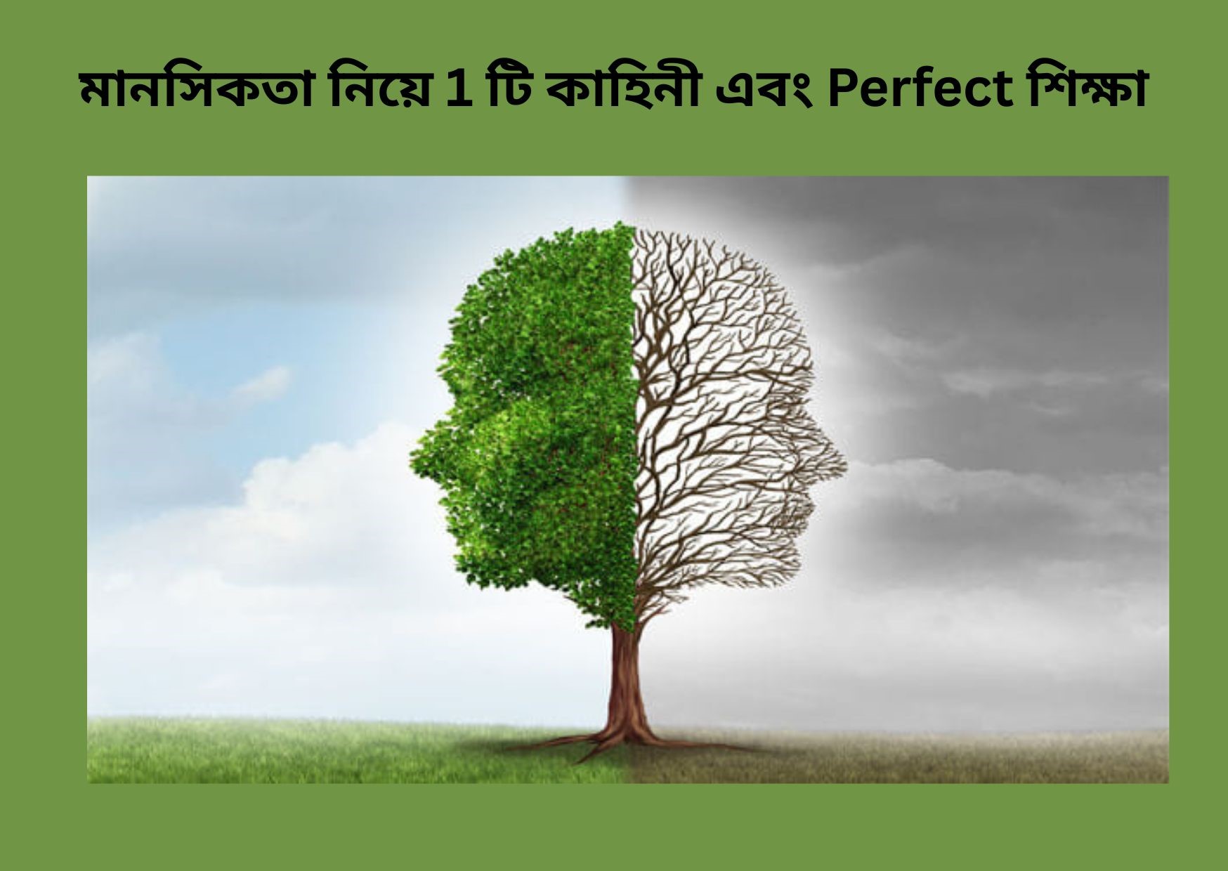 মানসিকতা নিয়ে 1 টি কাহিনী এবং Perfect শিক্ষা