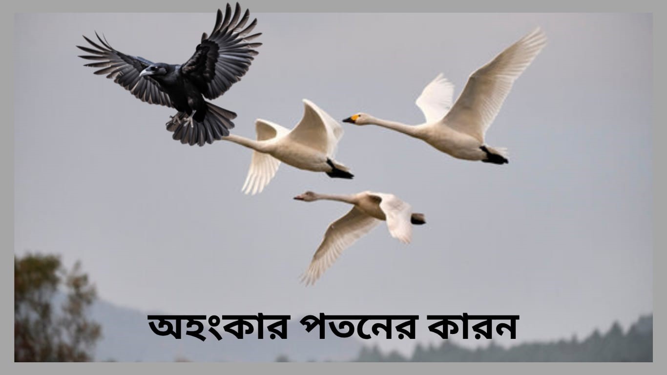 অহংকার পতনের কারনঃ