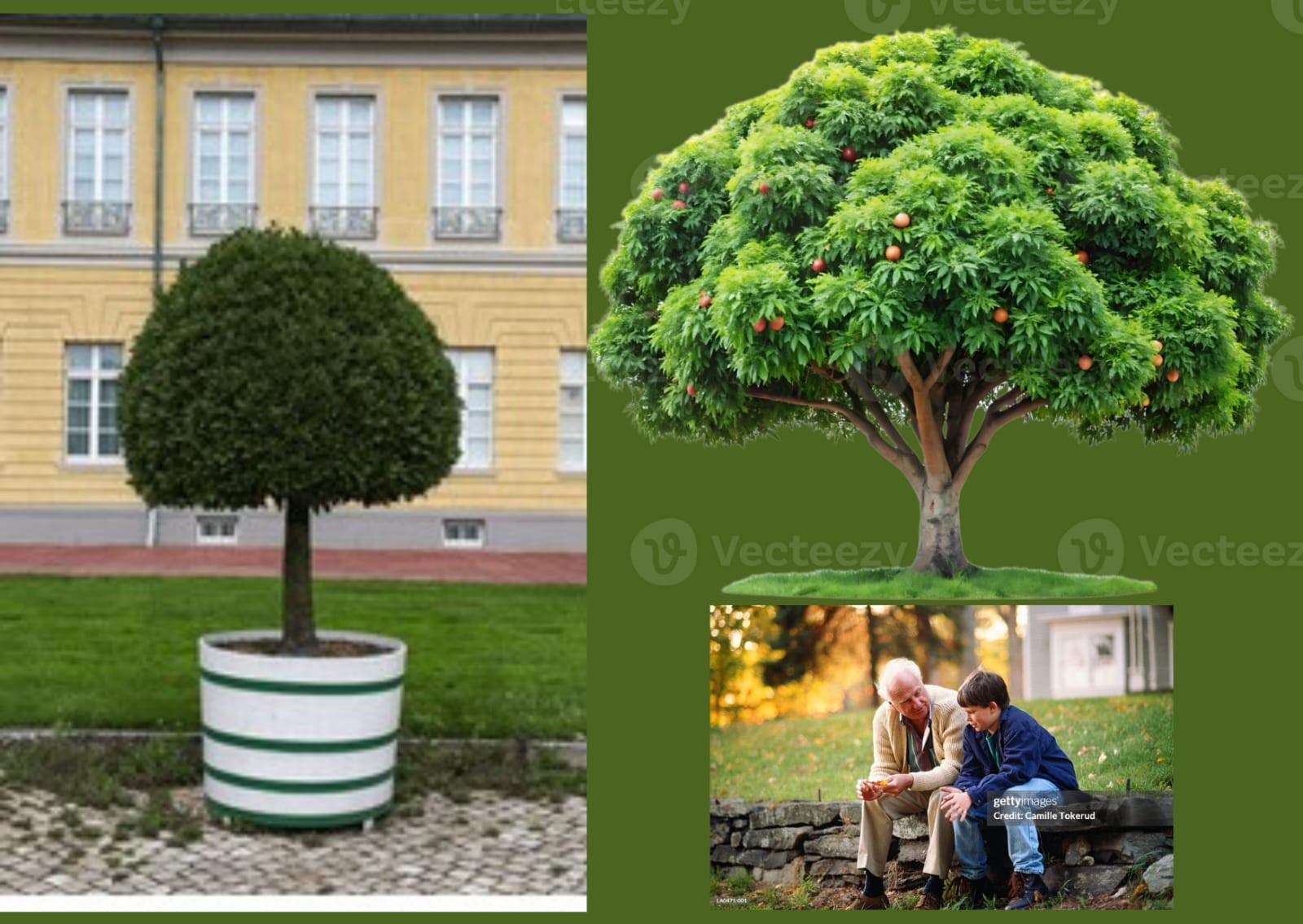 3 best বাংলা মোটিভেশনাল স্টোরি